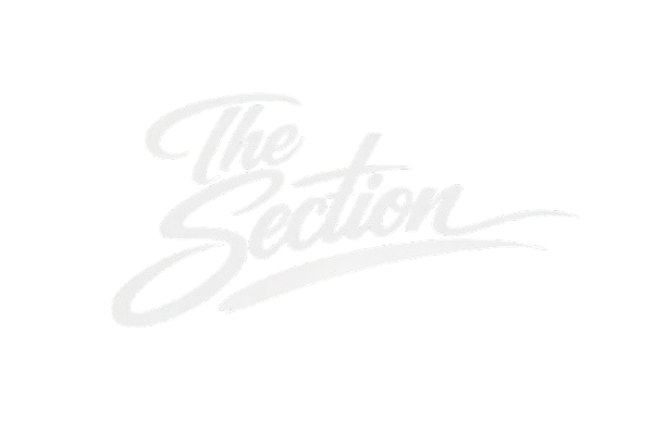 The Section Logo